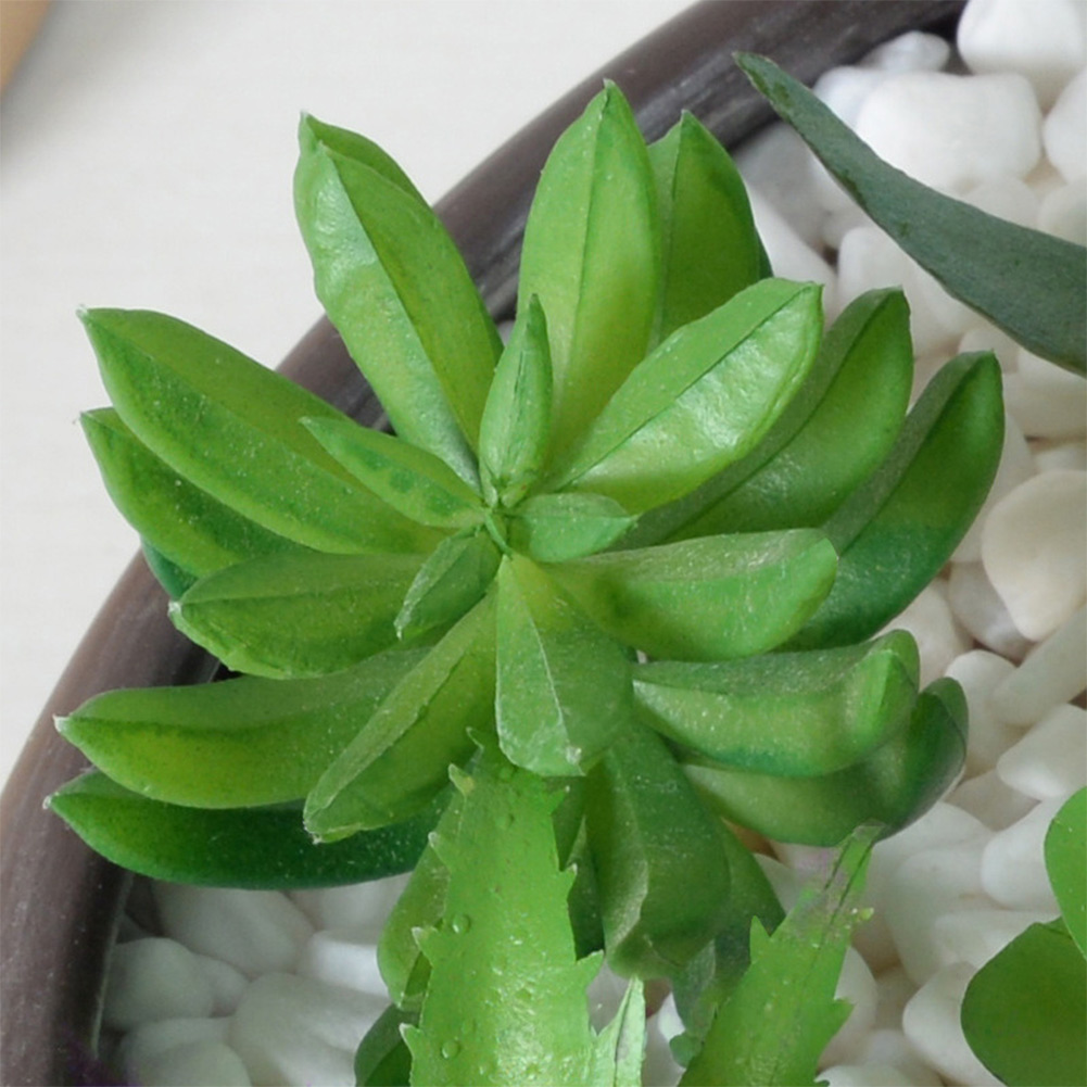 Desk Centerpiece Artificial fo - Succulent Arrangement Mini ulasan dan harga