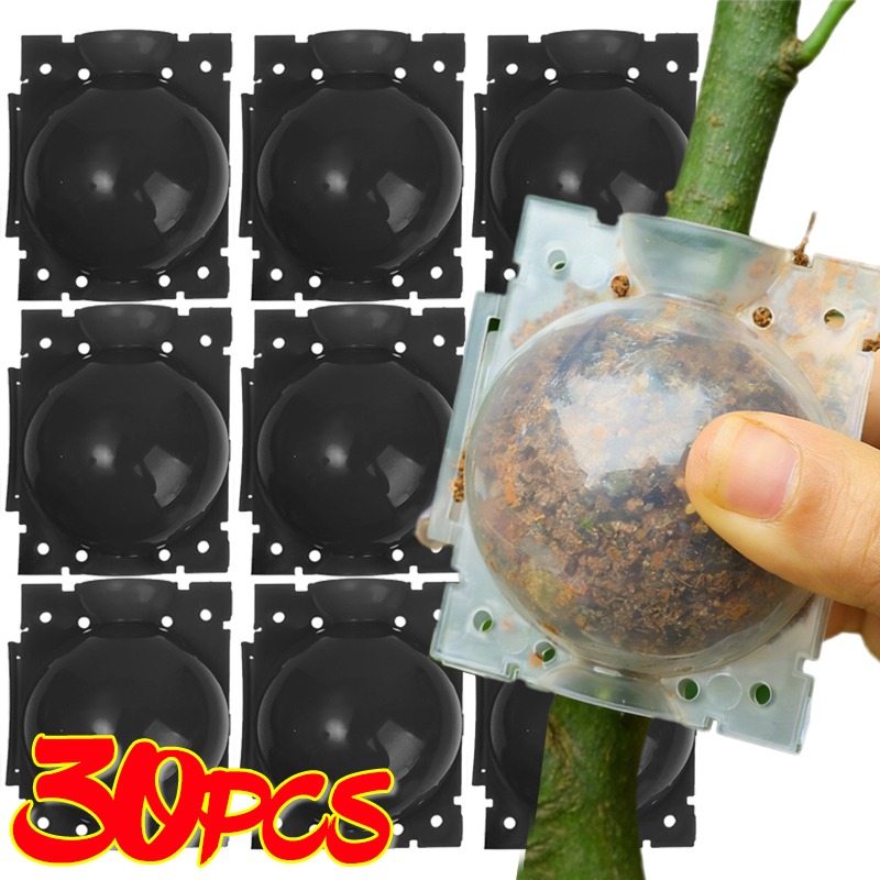 Reusable Plant Rooting Ball Gr - Plant Parent ulasan dan harga