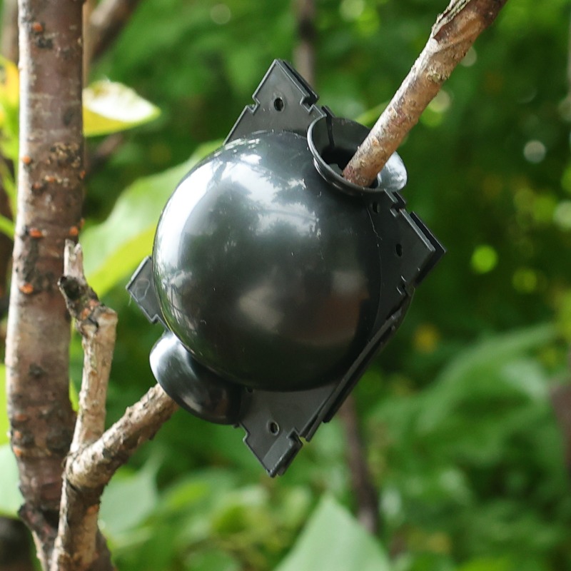 Reusable Plant Rooting Ball Gr - Plant Parent ulasan dan harga