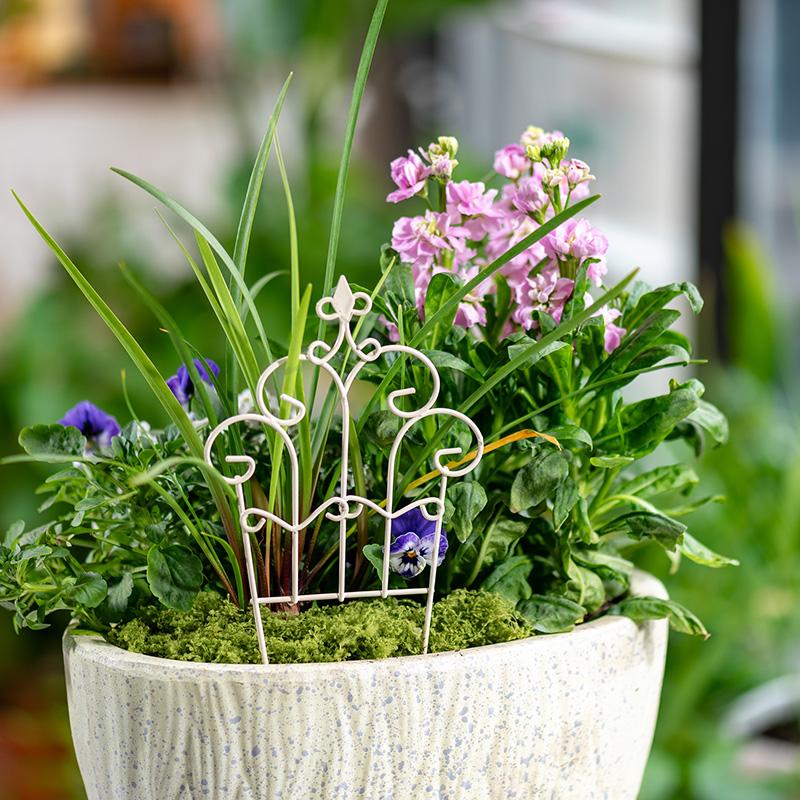 Whimsical Mini Iron FlowerPot  - Succulent Arrangement Mini ulasan dan harga