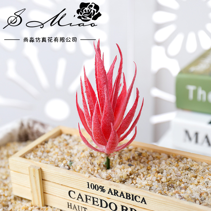Wusmart Ban Ma Lu Hui Artifici - Succulent Arrangement Mini ulasan dan harga
