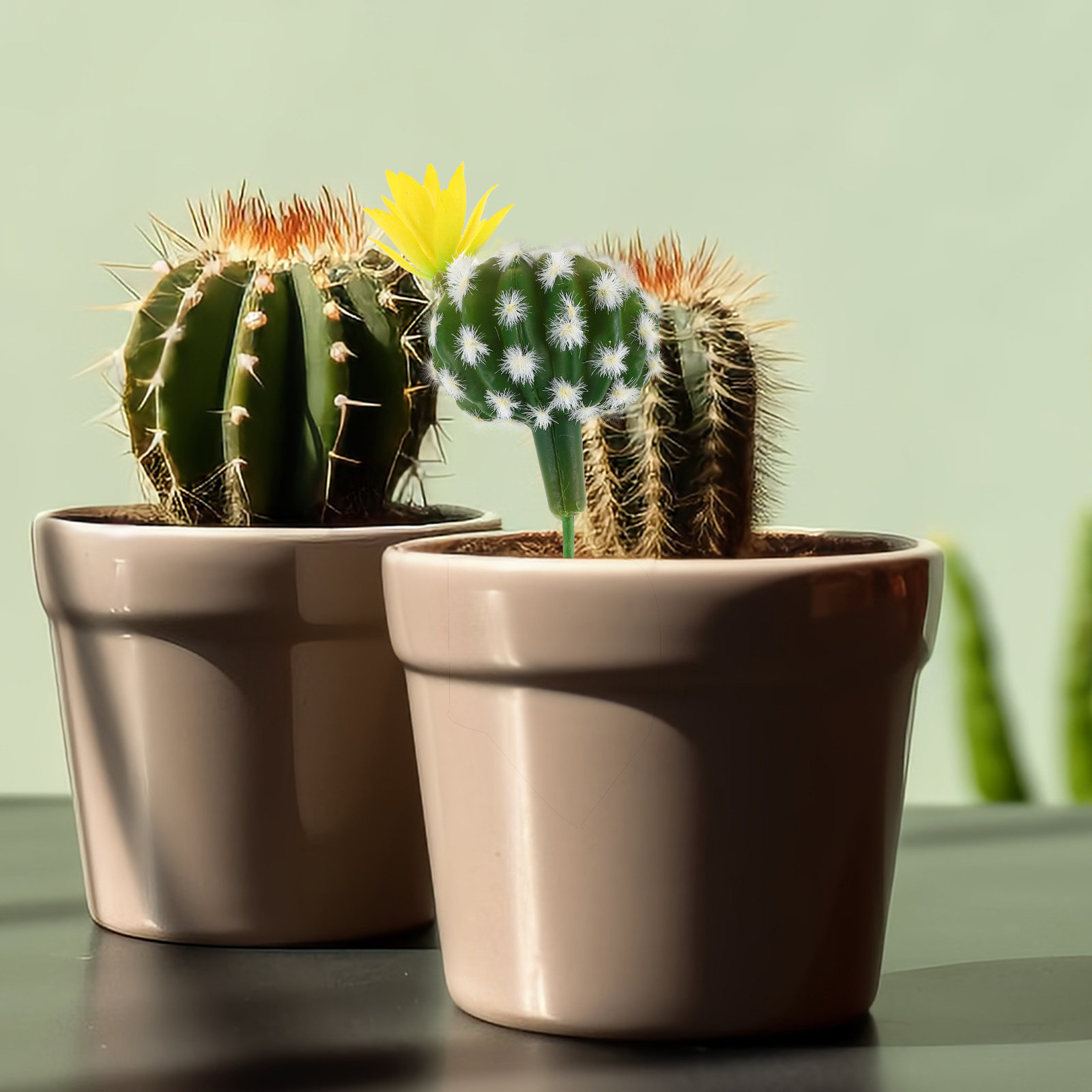 Mini Artificial Cactus Succule - Succulent Arrangement Mini ulasan dan harga